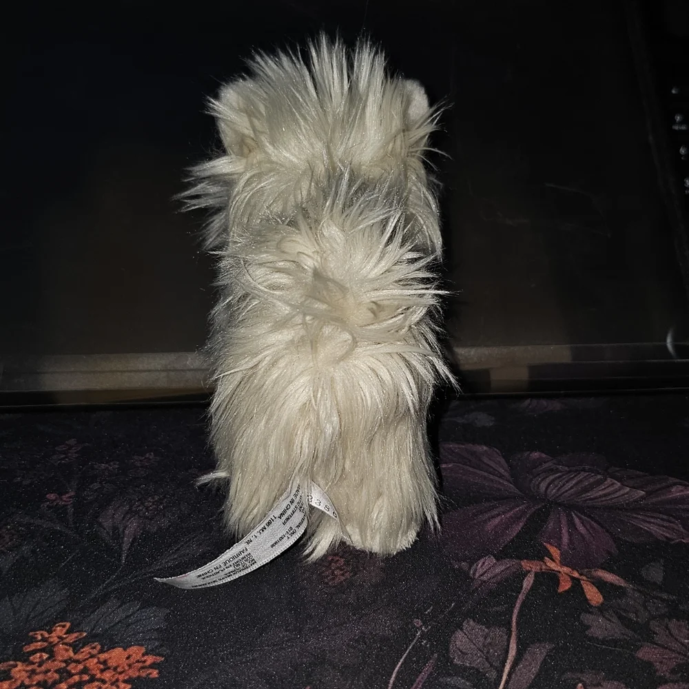 Coconut - Picture 6 of 8